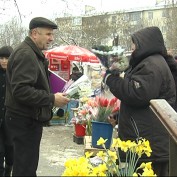 Какие цветы дарят женщинам на 8 марта?
