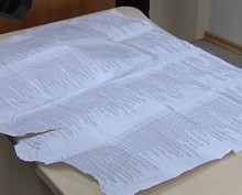 В Харькове незаконно печатали бюллетени?