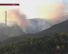 Вторые сутки горит лес на ЮБК