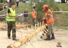 В Крыму выбирали лучшего лесоруба