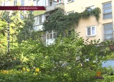 Кто уничтожил любимое растение жильцов?