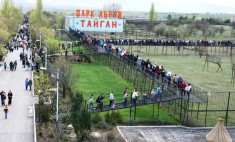 Оккупационные «власти» Крыма взялись за местные зоопарки