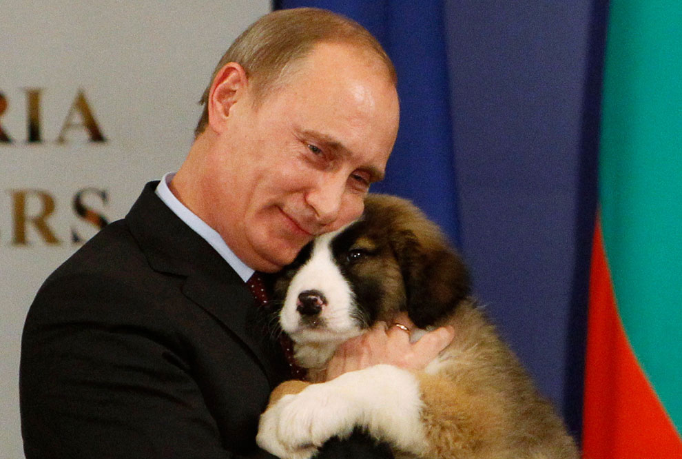 Чихуахуа от Путина: президент РФ снова взялся раздаривать собак [ФОТО]