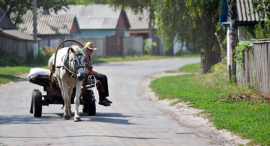 Крымские «власти» взялись развивать сельский туризм
