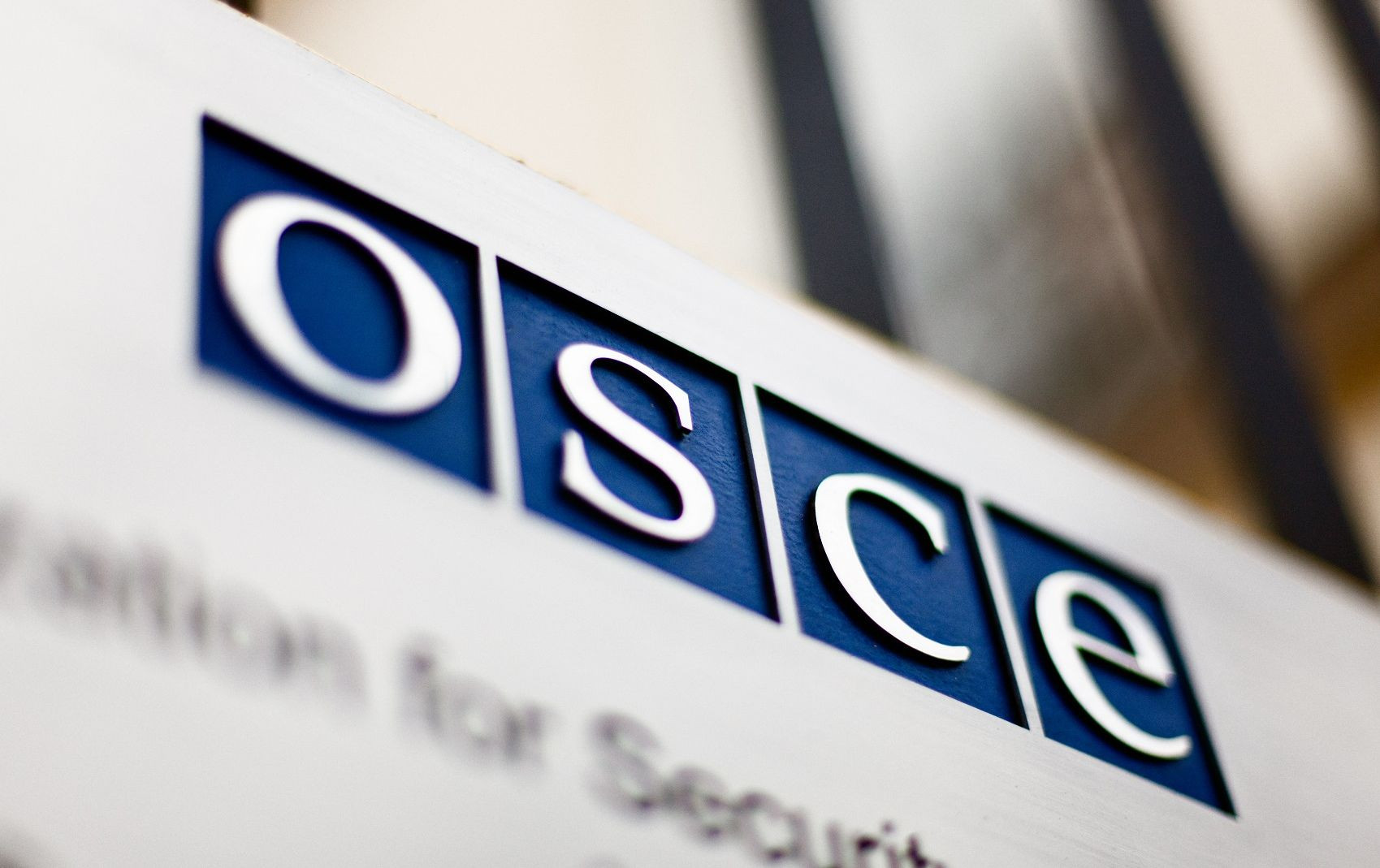 На заседании Постоянного совета ОБСЕ рассказали о нарушениях прав человека в Крыму