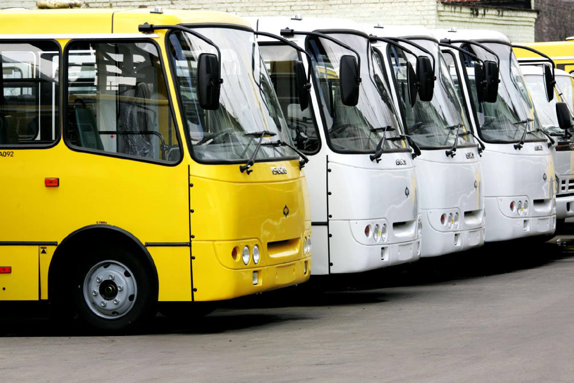 много автобусов картинки первом