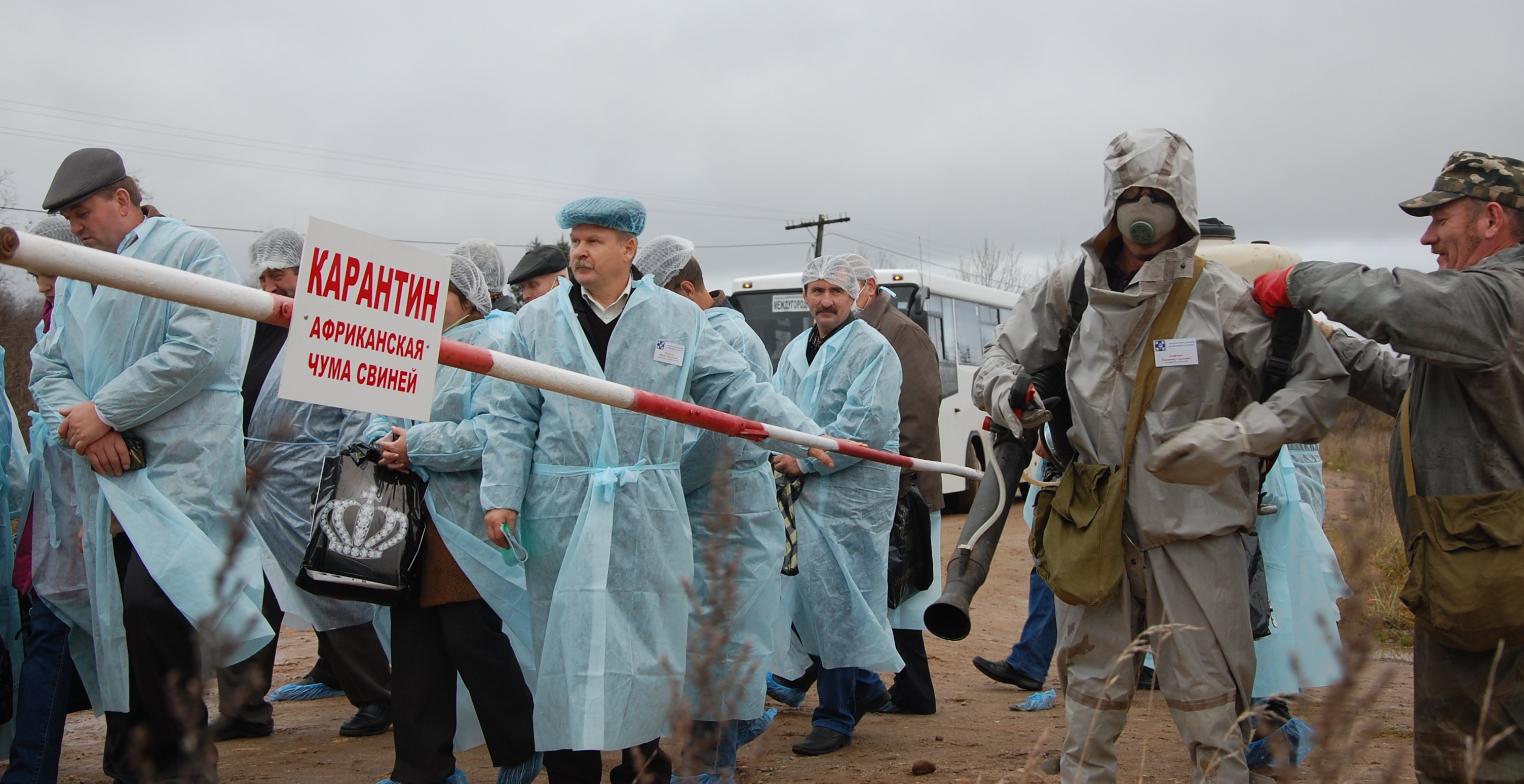 На Луганщине из-за чумы ввели карантин