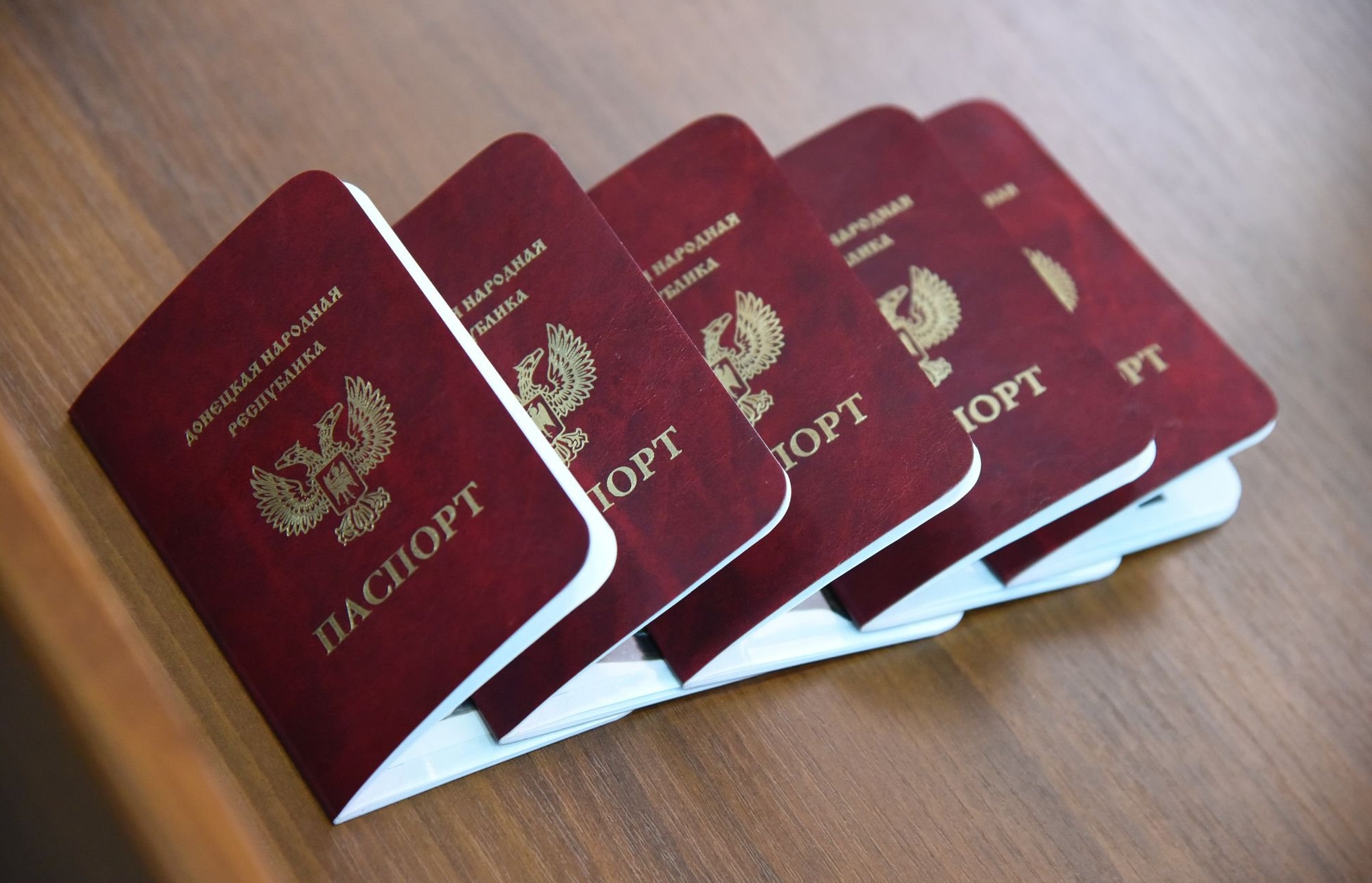 Россия рассказала, при каких условиях не признает паспорта “ЛДНР”