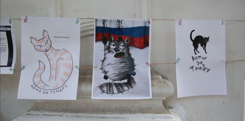 В Киеве показали рисунки котов в поддержку Александра Кольченко