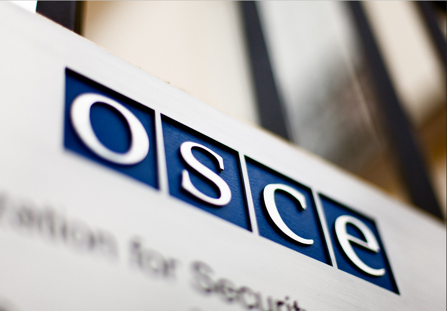 Россия хочет подать в ПА ОБСЕ «резолюцию о преступлениях в Украине»