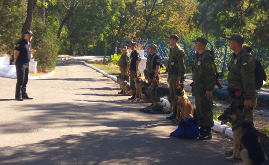 Собаки из 6 областей Украины приехали в Мариуполь служить в зоне АТО