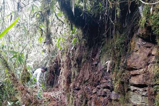 Развалины инков – в Перу заявили о важной находке