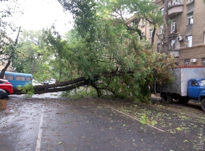 В Украине спасатели перешли на усиленный режим службы – по прогнозу штормовой ветер