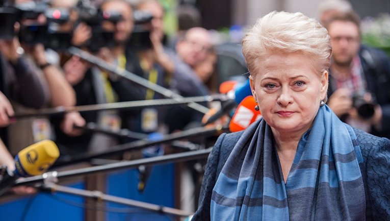 Литва предоставит Украине €2 млн на закупку амуниции для ВСУ,- Грибауйскайте
