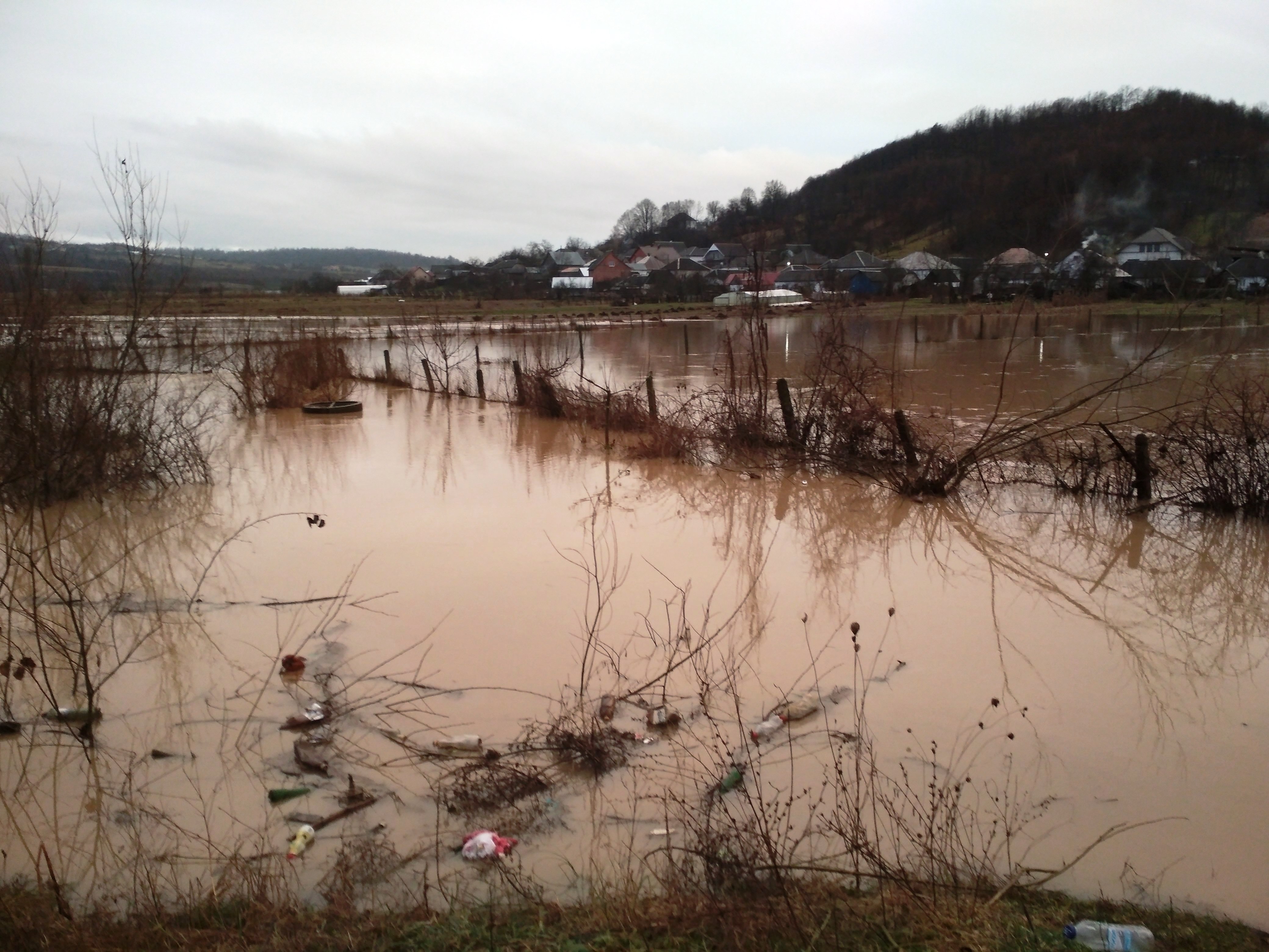 На Закарпатье потоп – прорвало дамбу, затопило сельхозугодья и дома