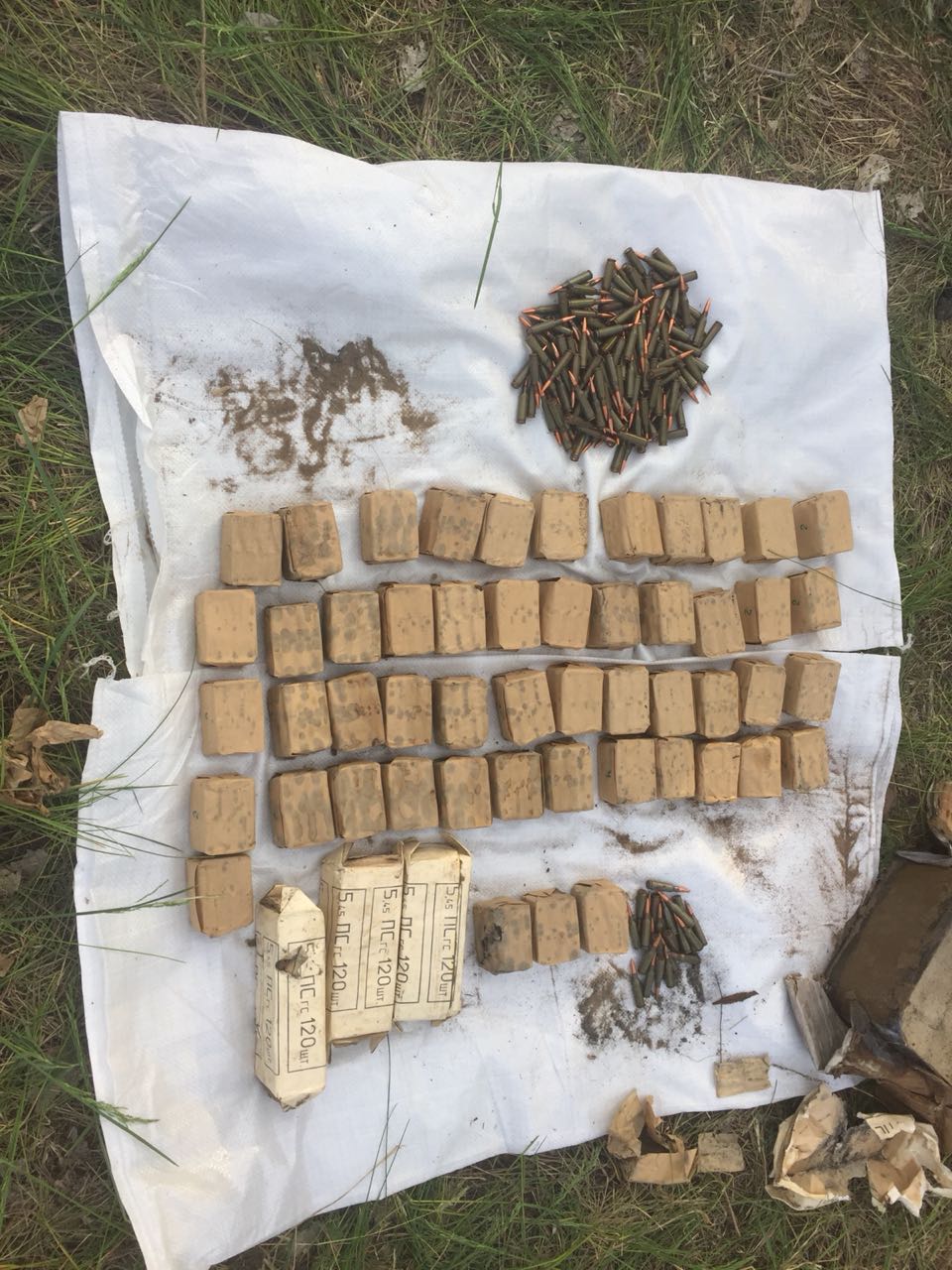 В Луганской области обнаружен тайник с боеприпасами и взрывоопасными предметами