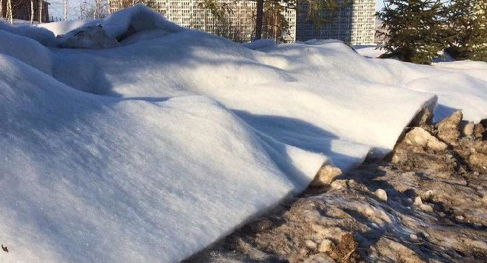 Снежное дно: в РФ красят черный снег в белый и замазывают им бордюры