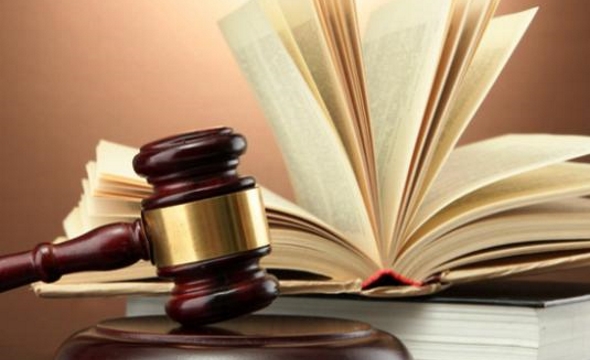 «Сила права» подготовила апелляцию на решение судьи Горбачевой
