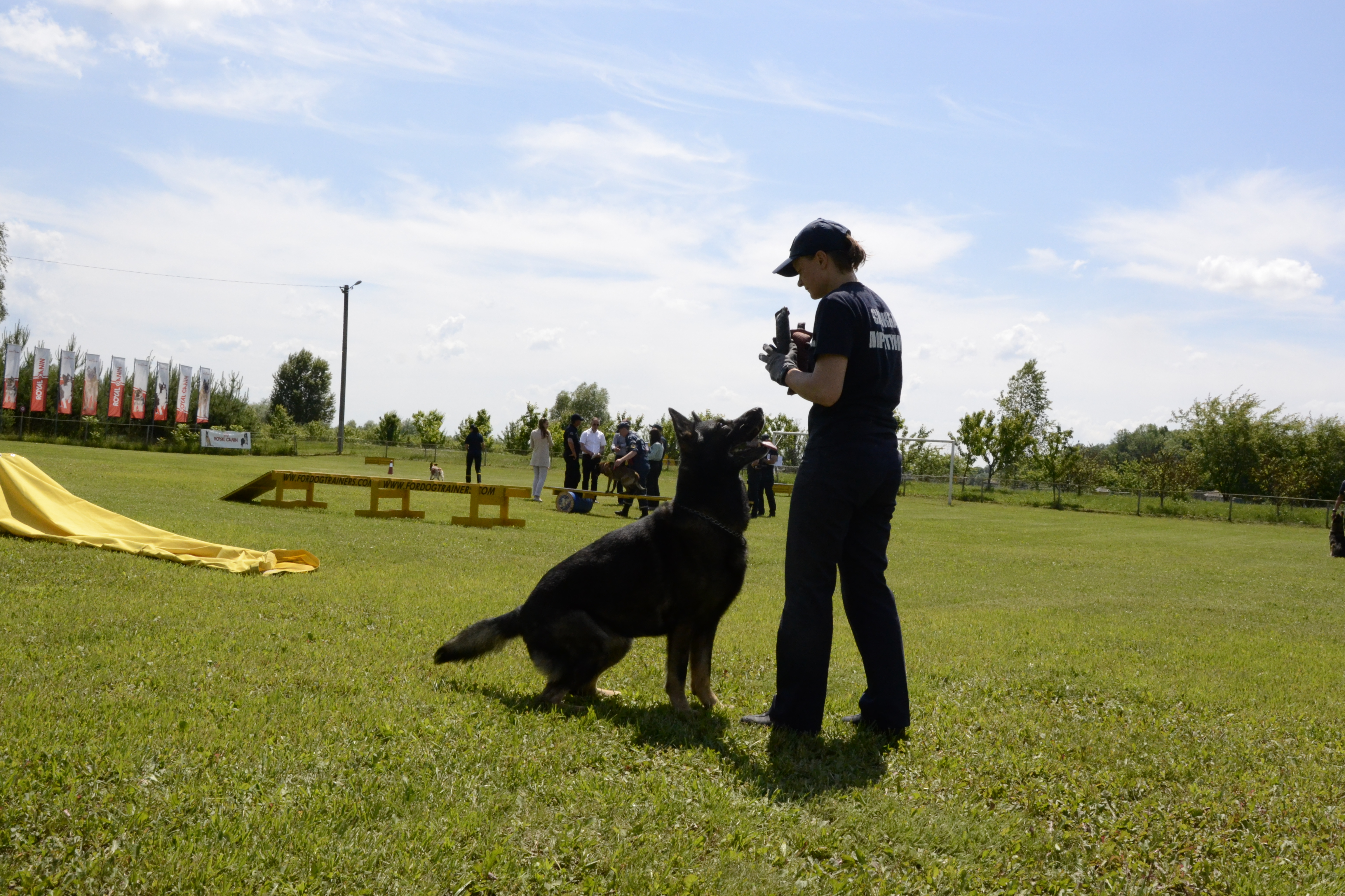 Украинские собаки-саперы: на страже сохранения жизней