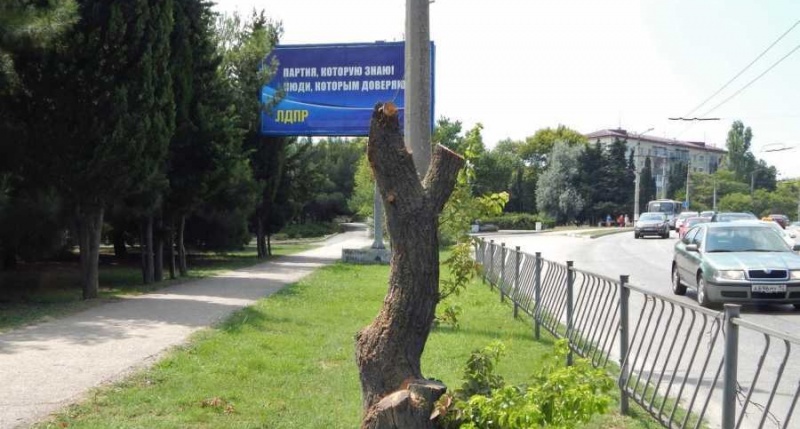 У Севастополі рубають дерева перед щитами з агітацією (ФОТО)