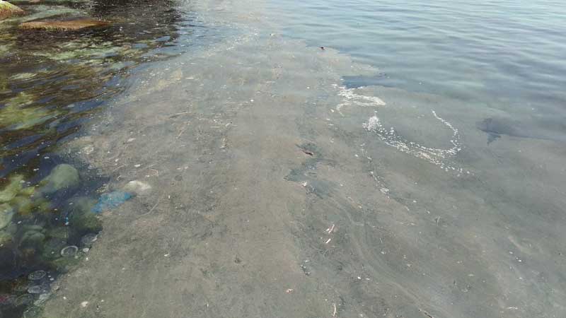 Крымчане жалуются на загрязненность пляжей