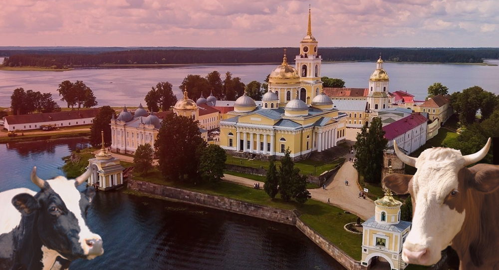 Развлечения по-русски: реалити-шоу в монастыре и Call of Duty на Донбасс