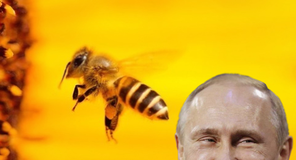 Неадекватность по-русски: чипирование пчел, плацкартные полки под Путина и блогеры-шпионы