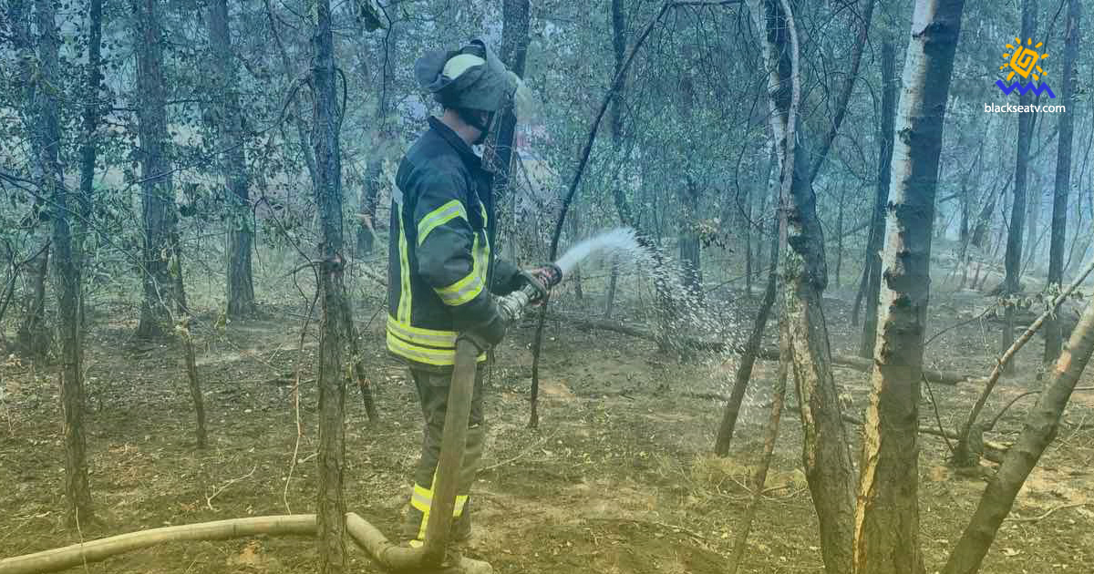 Пожежу на Луганщині локалізовано, – ДСНС