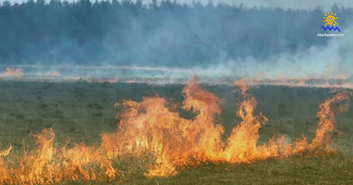 На оккупированных территориях Луганщины горят поля