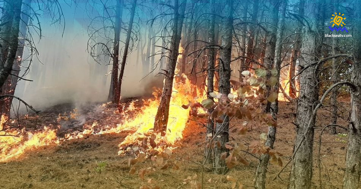 На выходных в Донецкой области случилось 204 пожара
