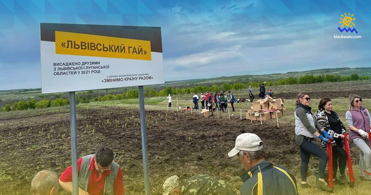 На Луганщині відновлюють втрачені в пожежах лісові насадження