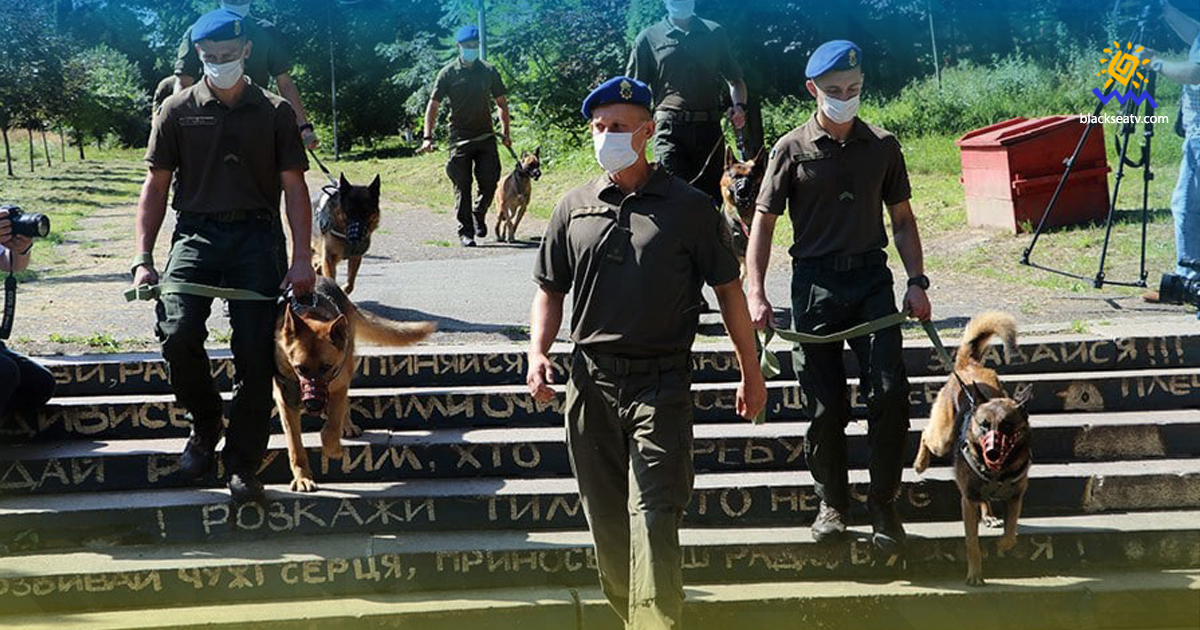 У Львові провели парад собак-захисників України на Донбасі
