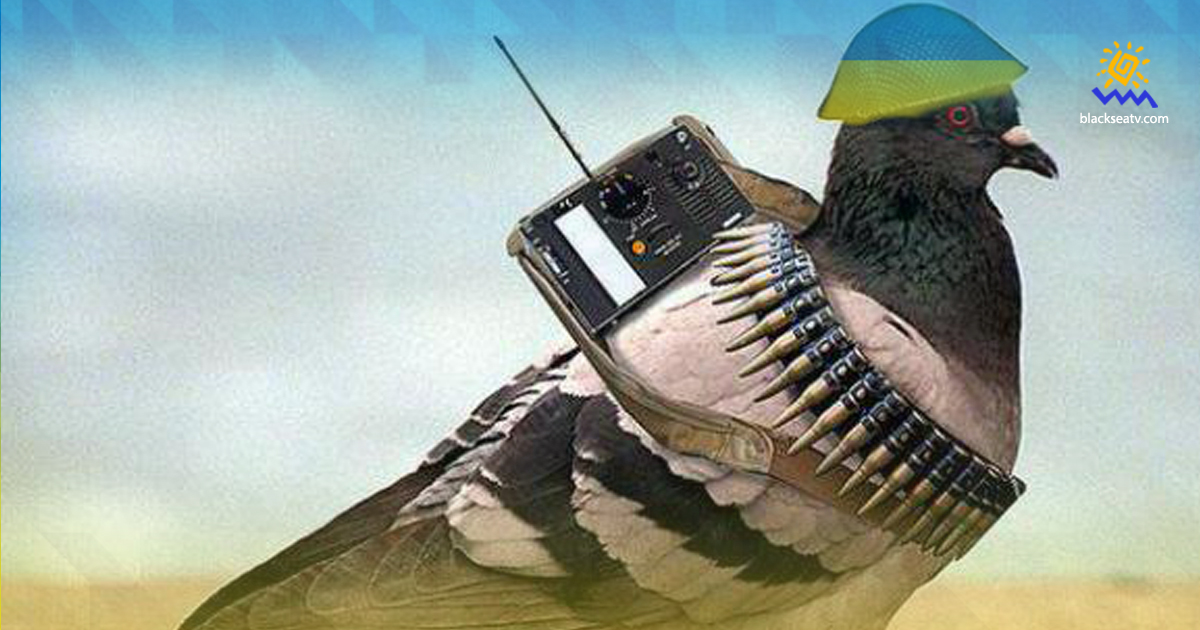 Українсько-американські бойові птахи і комарі: наркоманські марення російських пропагандистів