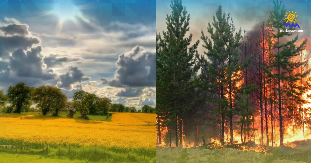 Какие разрушения нанесла природе Украины война: выжженные леса, заминированные моря и ядерная опасность