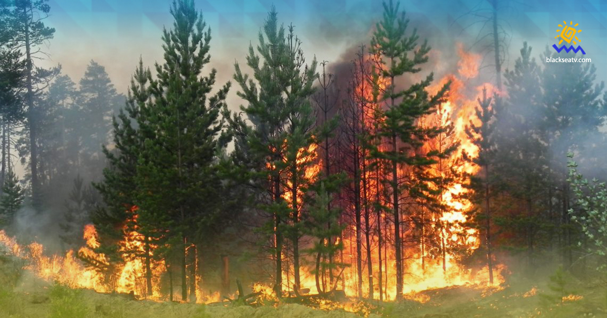 ОБСЕ готовит платформу для оценки вреда окружающей среде Украины из-за войны